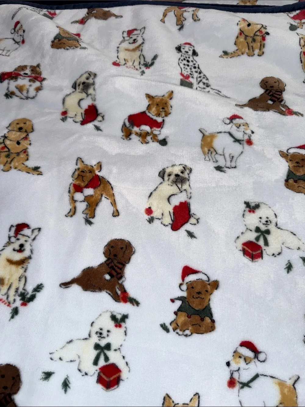 Festive Puppy Print Plush Dog Blanket - White with Red and Navy